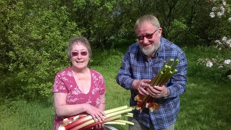 Heather and Graham get Freegle rhubarb